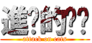 進擊的貓貓 (attack on cats)