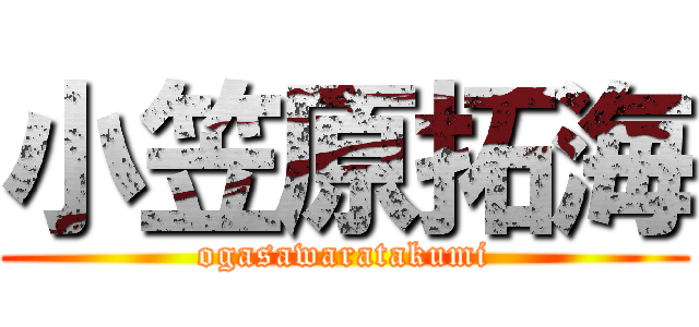 小笠原拓海 (ogasawaratakumi)