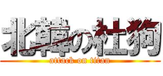 北韓の杜狗 (attack on titan)
