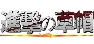 進擊の草帽 (Luffy)