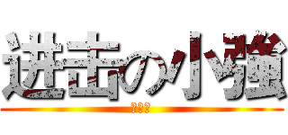 进击の小強 (强丶少)