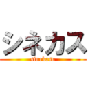 シネカス (sinekasu)