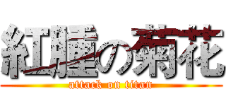 紅腫の菊花 (attack on titan)