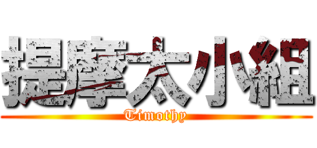 提摩太小組 (Timothy)