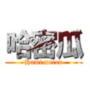 哈密瓜 (Hami melon)