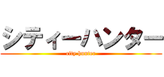 シティーハンター (city hunter)