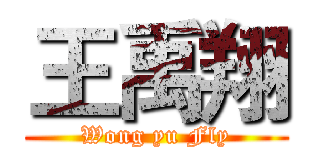 王禹翔 (Wong yu Fly)