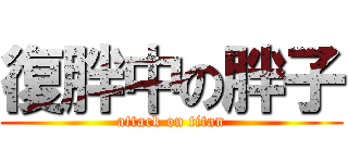 復胖中の胖子 (attack on titan)