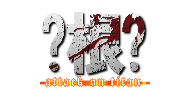 张根硕 (attack on titan)