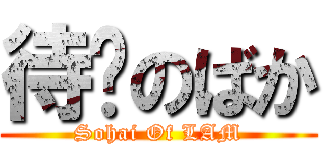 待毙のばか (Sohai Of LAM)