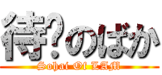 待毙のばか (Sohai Of LAM)