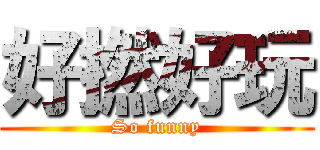 好撚好玩 (So funny)