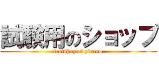 試験用のショップ (testshop of pincom)