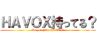 ＨＡＶＯＸ持ってる？ (Do you have HAVOX?)