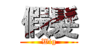 假髮 (Wig)