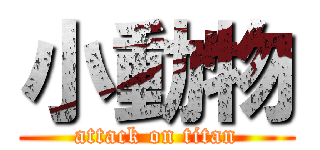 小動物 (attack on titan)
