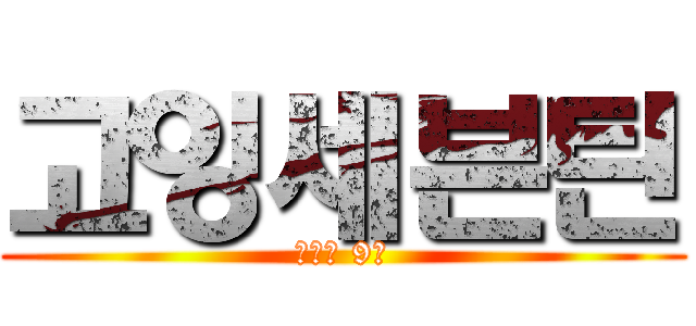 고잉세븐틴 (수요일 9시)