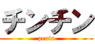 チンチン (penis)