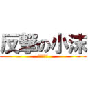 反撃の小沫 (小沫の反撃)