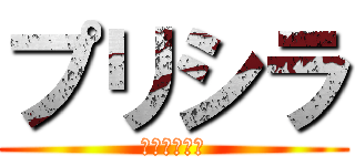 プリシラ (私の男レヴィ)