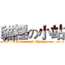 貓裡の小站 (Action and Change)