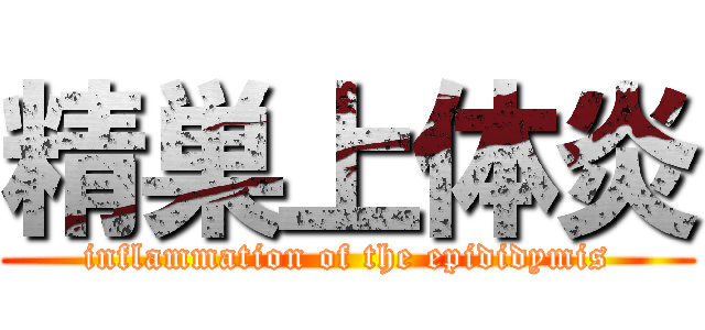 精巣上体炎 (inflammation of the epididymis)