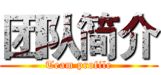 团队简介 (Team profile)