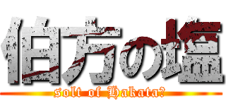 伯方の塩 (solt of Hakata　)