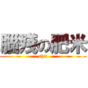 腦殘の肥米 (shit)