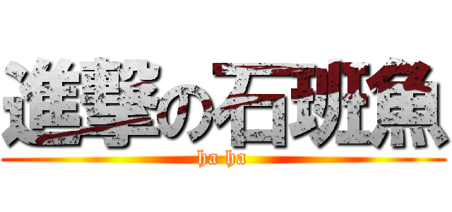 進撃の石班魚 (ha ha)