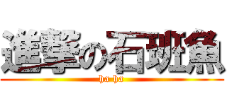 進撃の石班魚 (ha ha)