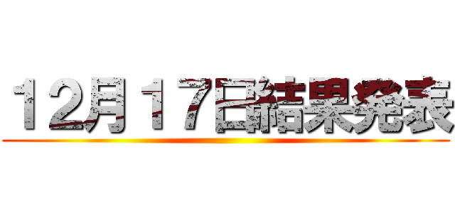 １２月１７日結果発表 ()