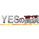 ＹＥＳの高須 (Yes on Takasu)