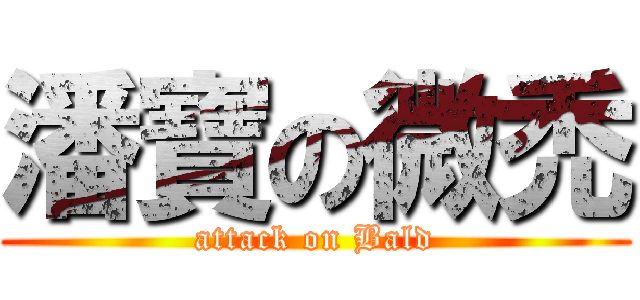 潘寶の微禿 (attack on Bald)