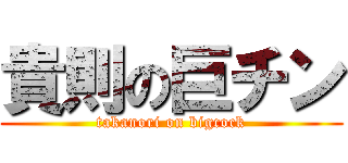 貴則の巨チン (takanori on bigcock)