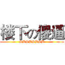 楼下の傻逼 (SBSBSBSB)