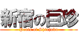 新宿の巨珍 (Penis of Shinjuku)