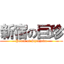 新宿の巨珍 (Penis of Shinjuku)