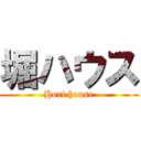 堀ハウス (Hori house)