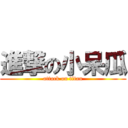 進撃の小呆瓜 (attack on titan)