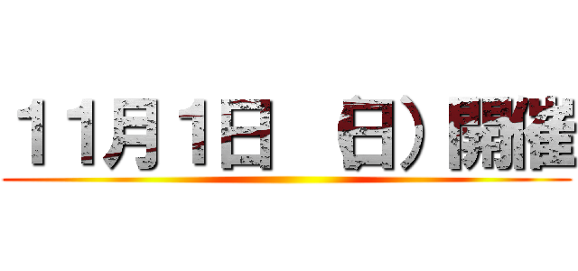 １１月１日 （日）開催 ()