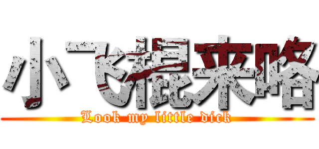 小飞棍来咯 (Look my little dick)