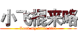 小飞棍来咯 (Look my little dick)