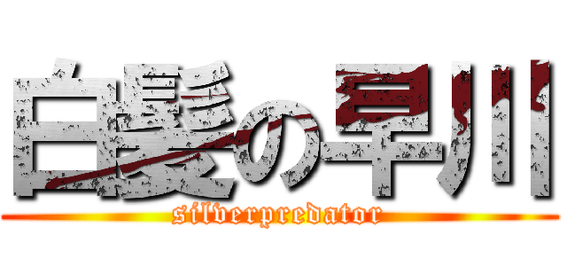 白髪の早川 (silverpredator)