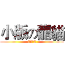 小版の龍貓 (CAT)