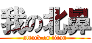 我の北鼻 (attack on titan)