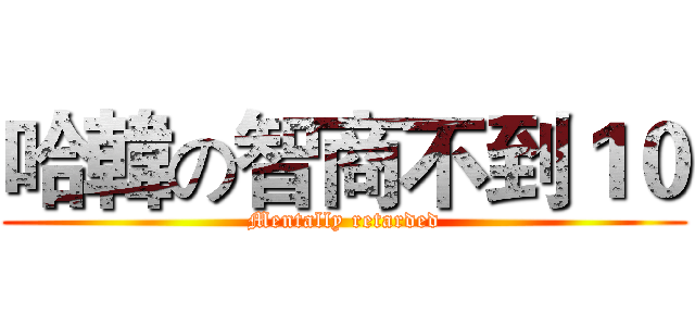 哈韓の智商不到１０ (Mentally retarded)