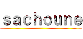 ｓａｃｈｏｕｎｅ ()