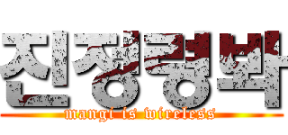 진정령봐 (mangi is wireless)