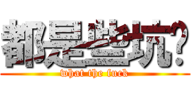 都是些坑货 (what the fuck)